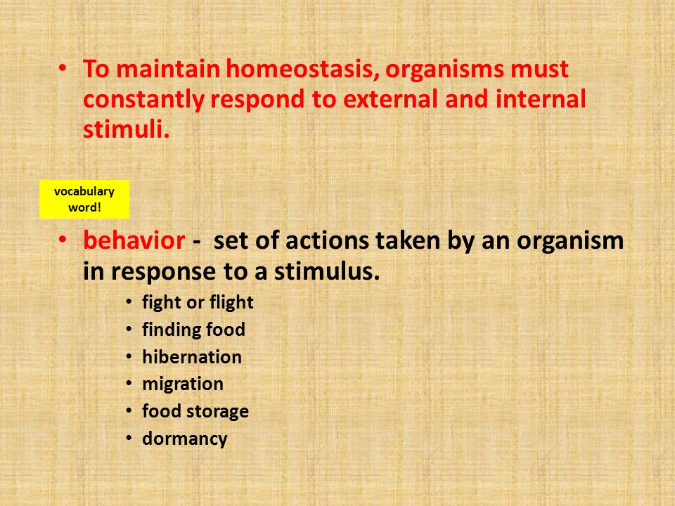 How/why must an organism must maintain homeostasis?